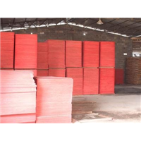 廣西建筑模板丨廣西建筑模板生產丨廣西建筑模板廠家 -建筑模板丨生態板丨細木工板丨柳州市百信木業